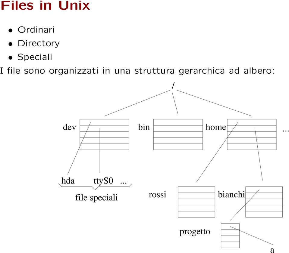 gerarchica ad albero: / dev bin home.