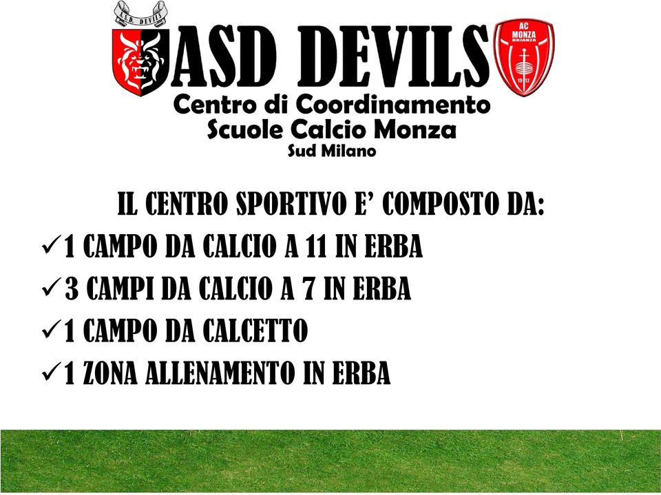 CAMPI DA CALCIO A 7 IN ERBA 1 CAMPO