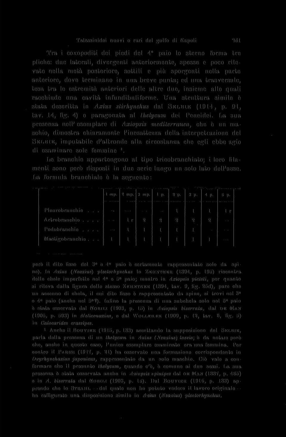 cavità infundibuliforme. Una struttura simile è stata descritta in Axius stirhynckus dal SELBIE (94, p. 9, tav. 4, fig. 4) e paragonata al thelycum dei Peneidei.