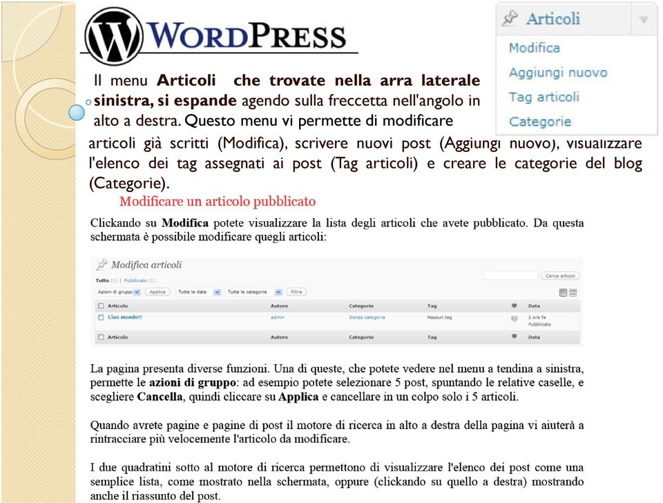 Questo menu vi permette di modificare articoli già scritti (Modifica), scrivere