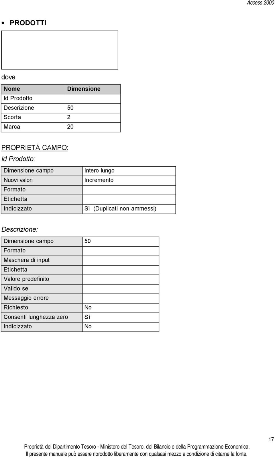 (Duplicati non ammessi) Descrizione: Dimensione campo 50 Formato Maschera di input Etichetta