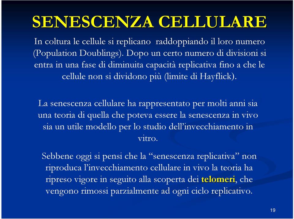 La senescenza cellulare ha rappresentato per molti anni sia una teoria di quella che poteva essere la senescenza in vivo sia un utile modello per lo studio dell