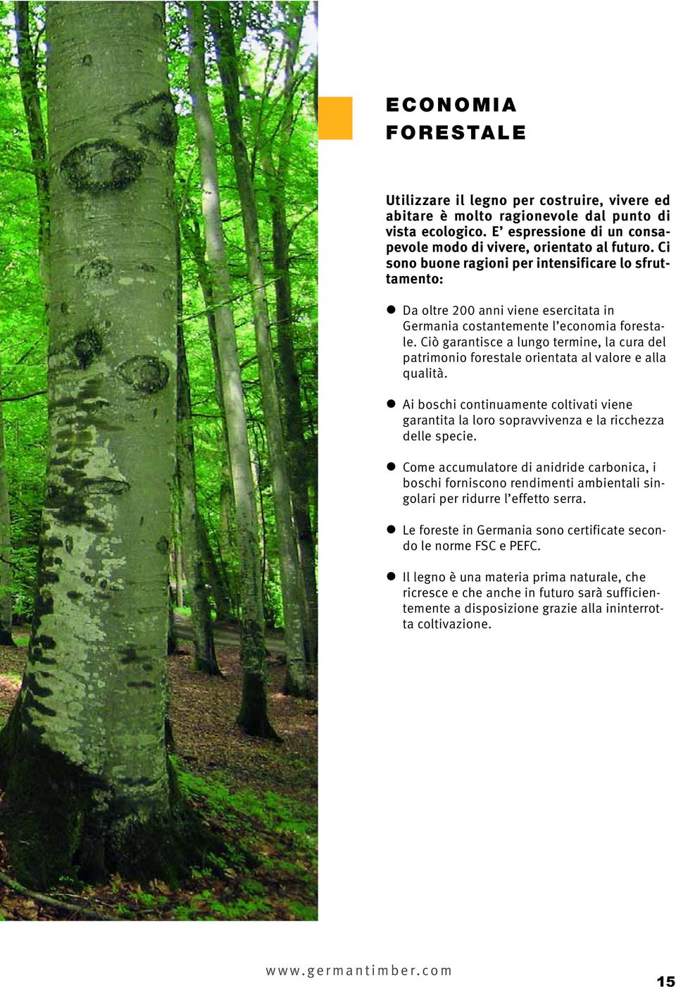 Ciò garantisce a lungo termine, la cura del patrimonio forestale orientata al valore e alla qualità.
