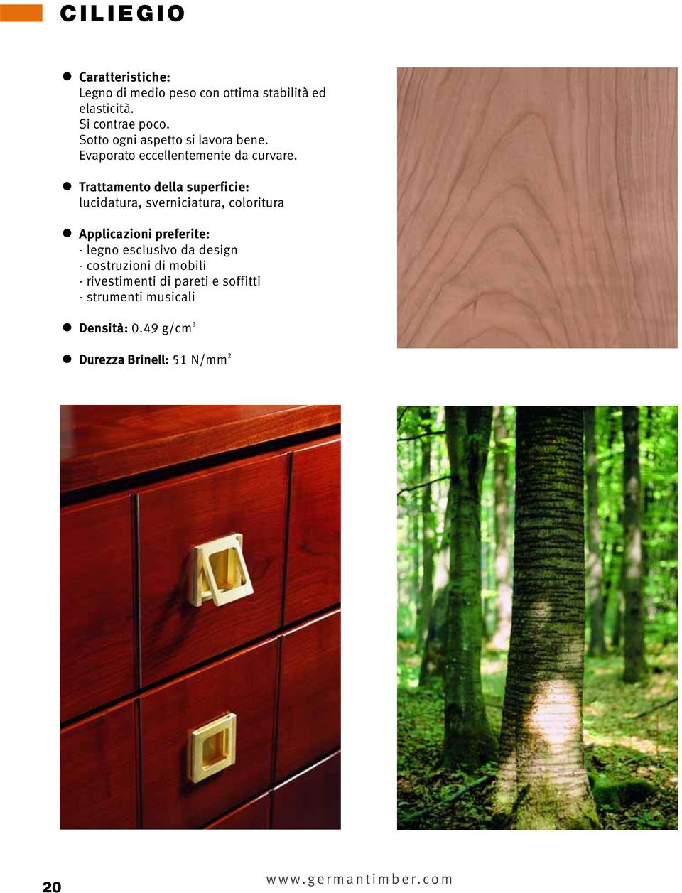 Trattamento della superficie: lucidatura, sverniciatura, coloritura Applicazioni preferite: - legno