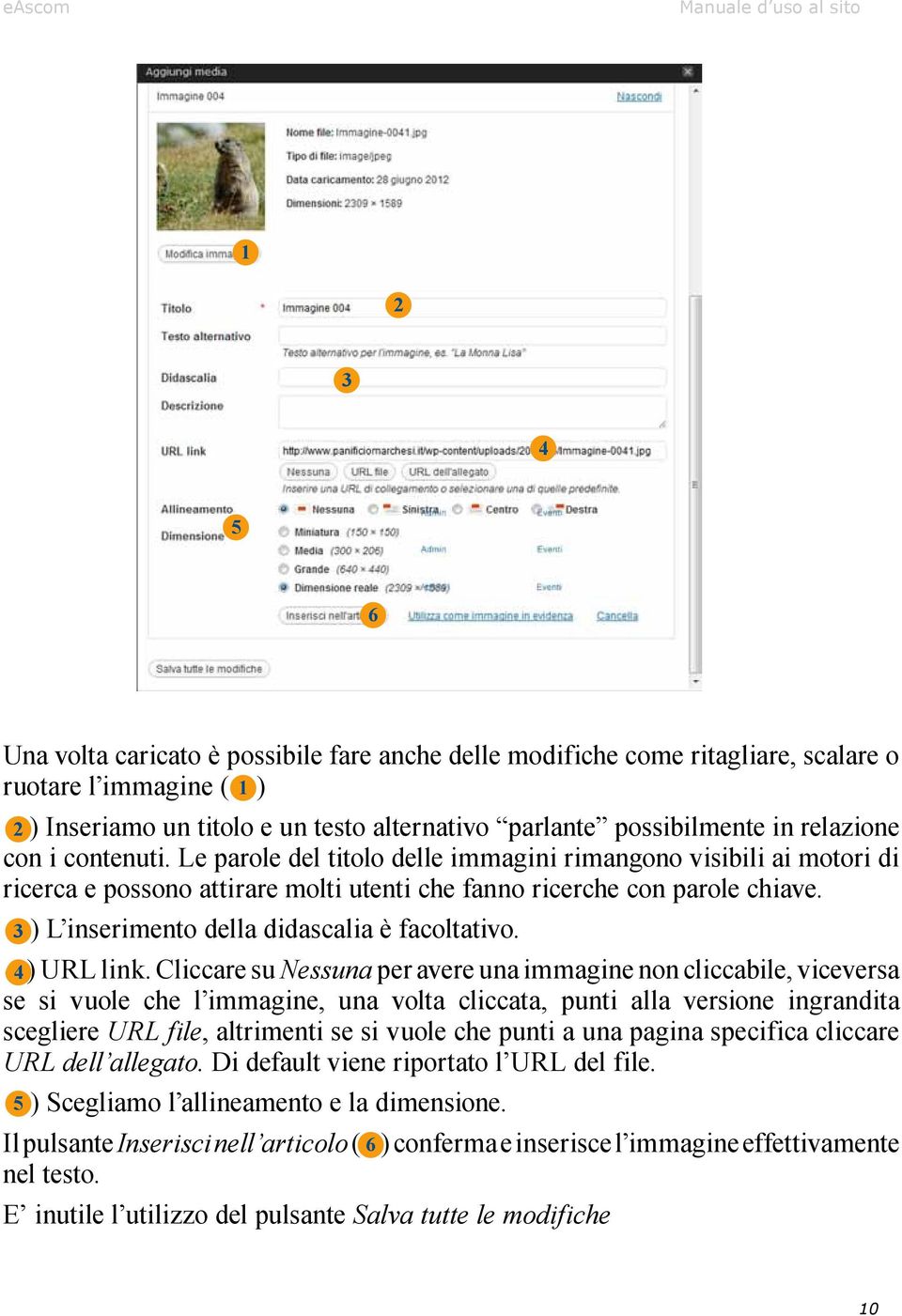 3 ) L inserimento della didascalia è facoltativo. 4) URL link.