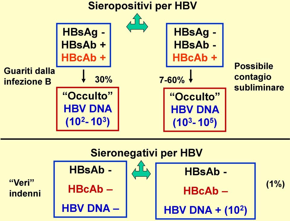 HBV DNA (10 3-10 5 ) Possibile contagio subliminare Veri indenni