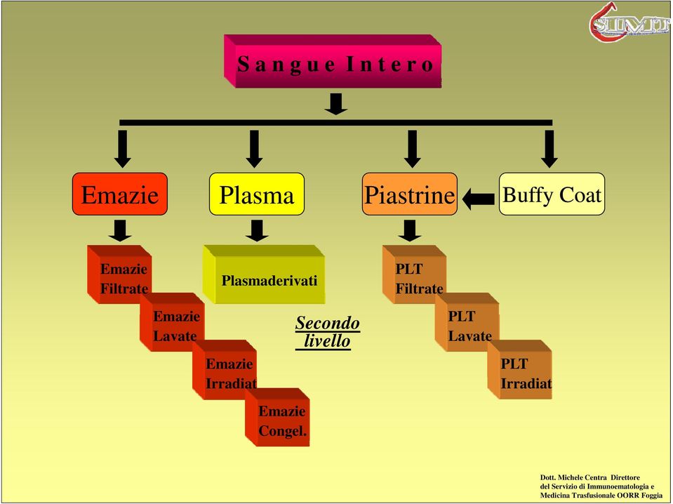 PLT Filtrate Emazie Lavate Emazie Irradiat