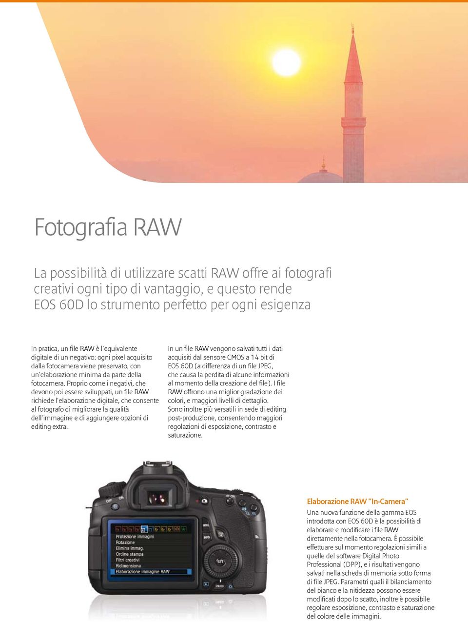 Proprio come i negativi, che devono poi essere sviluppati, un file RAW richiede l'elaborazione digitale, che consente al fotografo di migliorare la qualità dell'immagine e di aggiungere opzioni di
