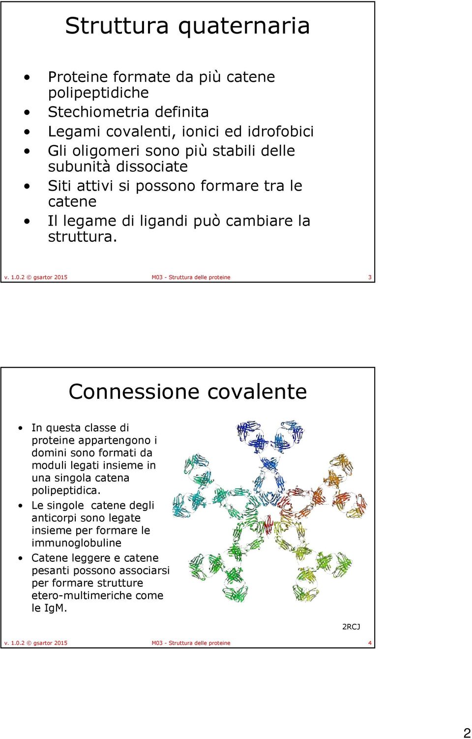 2 gsartor 2015 M03 - Struttura delle proteine 3 Connessione covalente In questa classe di proteine appartengono i domini sono formati da moduli legati insieme in una singola catena