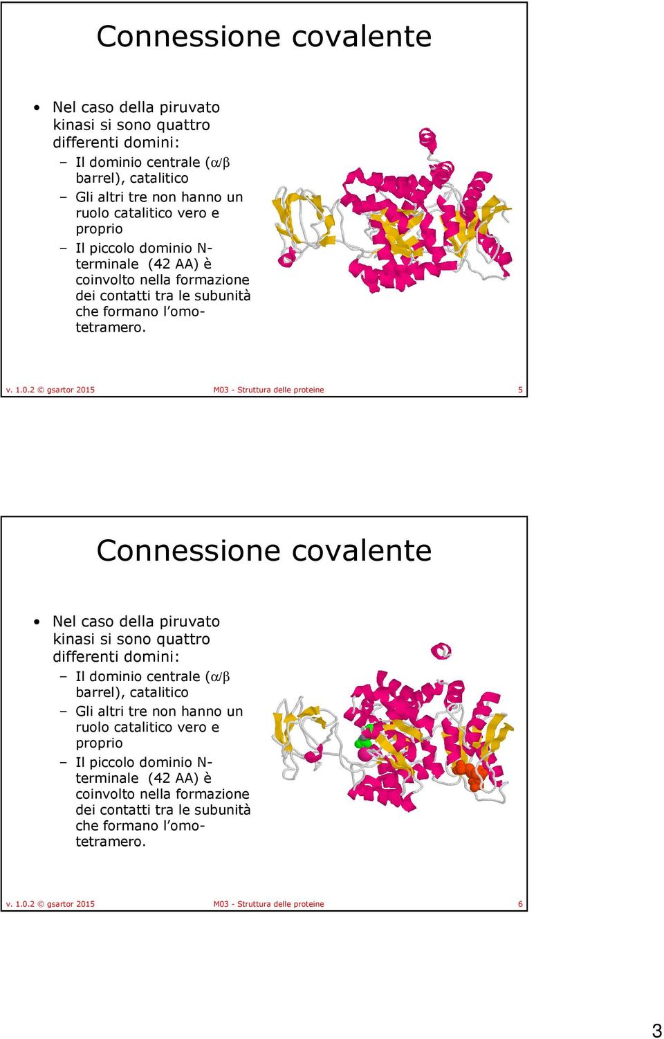 2 gsartor 2015 M03 - Struttura delle proteine 5  2 gsartor 2015 M03 - Struttura delle proteine 6 3