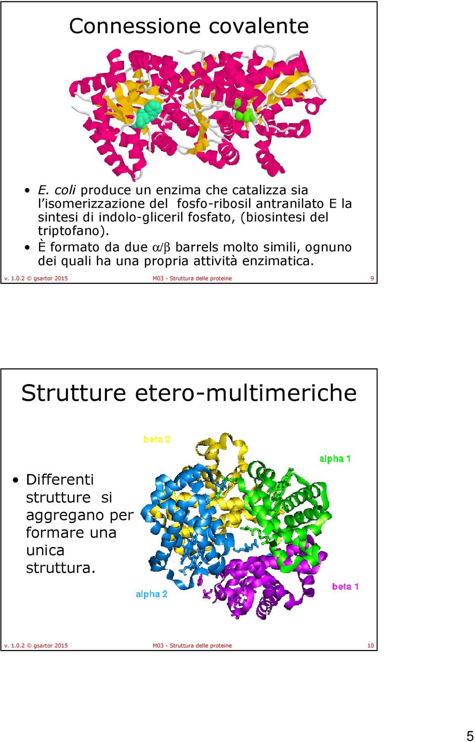 indolo-glicerilfosfato, (biosintesi del triptofano).