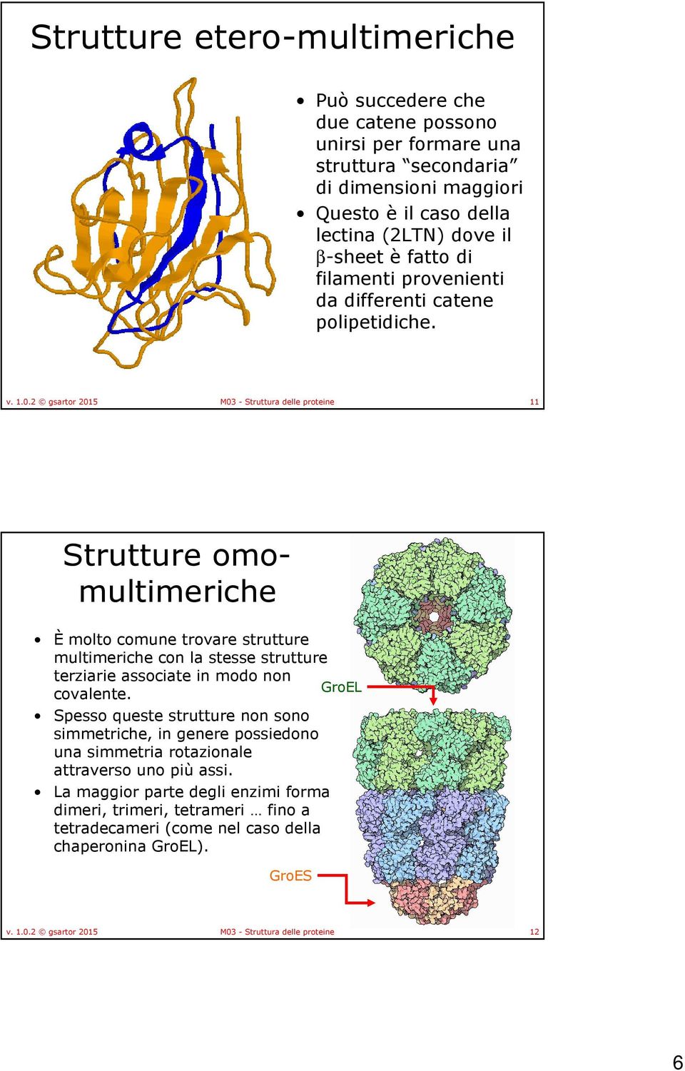 2 gsartor 2015 M03 - Struttura delle proteine 11 Strutture omomultimeriche Èmolto comune trovare strutture multimerichecon la stesse strutture terziarie associate in modo non GroEL