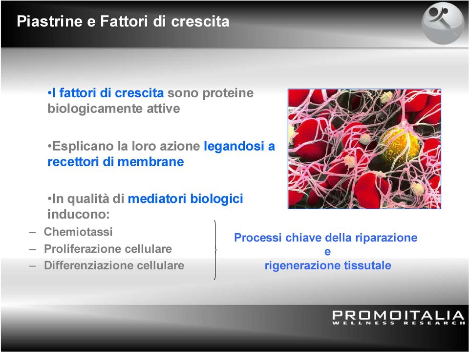 membrane In qualità di mediatori biologici inducono: Chemiotassi