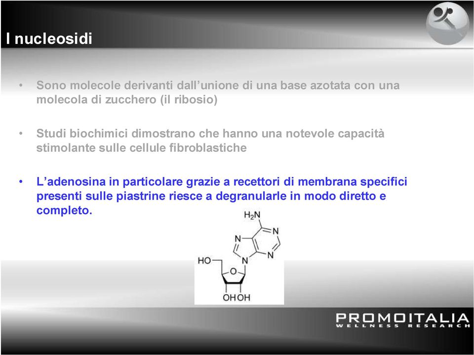 stimolante sulle cellule fibroblastiche L adenosina in particolare grazie a recettori di