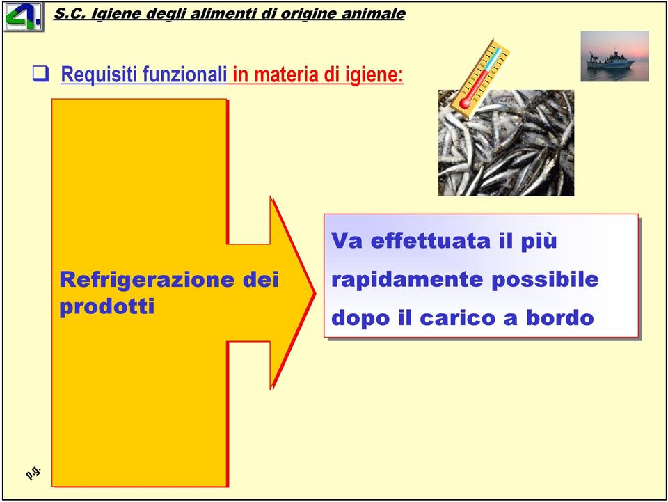 prodotti Va effettuata il più