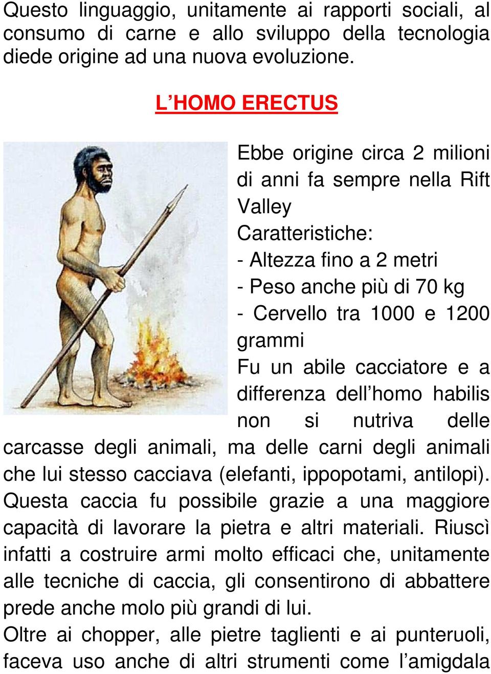 cacciatore e a differenza dell homo habilis non si nutriva delle carcasse degli animali, ma delle carni degli animali che lui stesso cacciava (elefanti, ippopotami, antilopi).