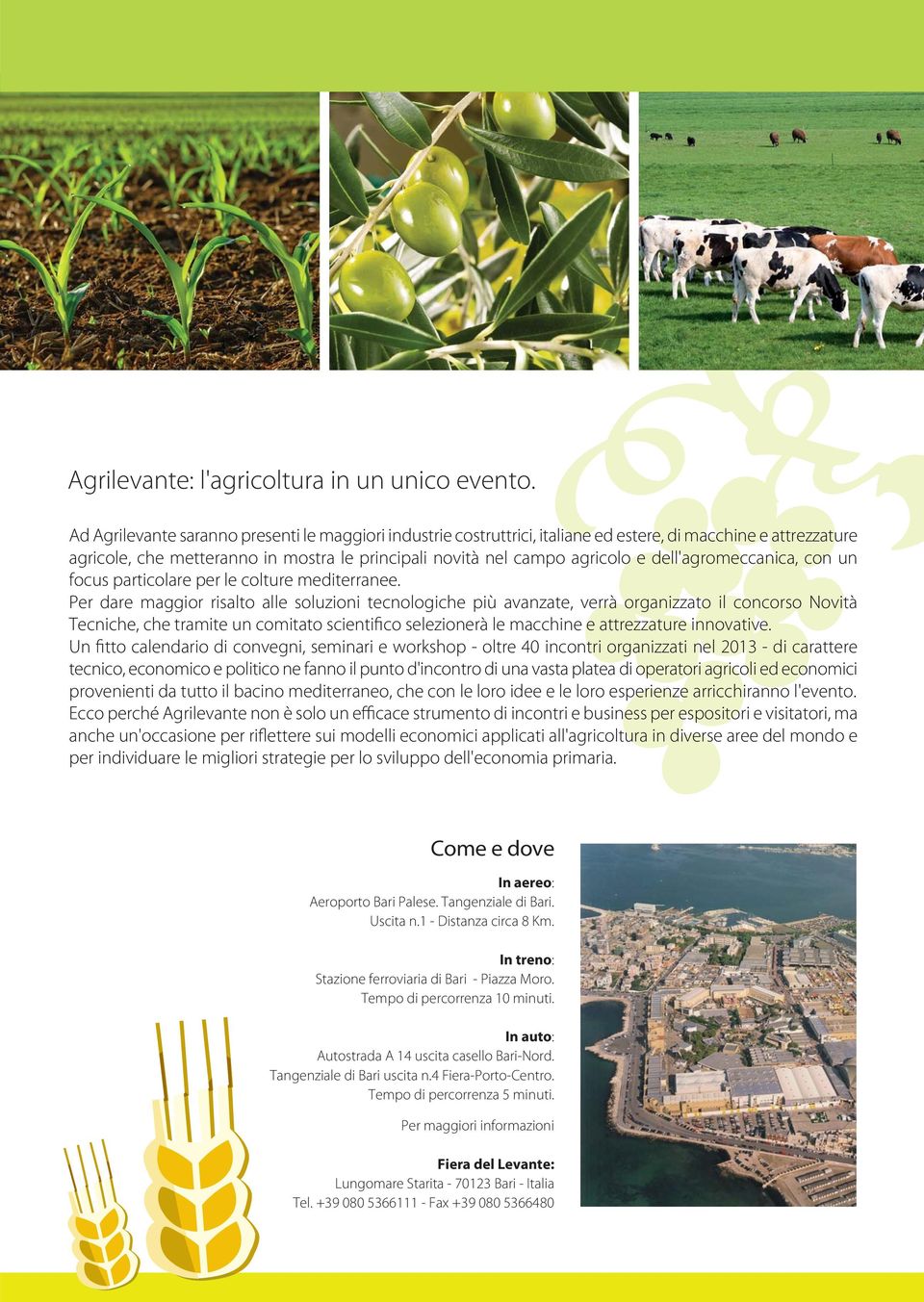 dell'agromeccanica, con un focus particolare per le colture mediterranee.
