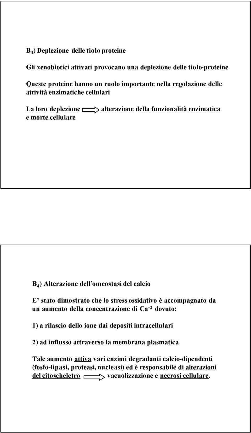 stress ossidativo è accompagnato da un aumento della concentrazione di Ca +2 dovuto: 1) a rilascio dello ione dai depositi intracellulari 2) ad influsso attraverso la membrana