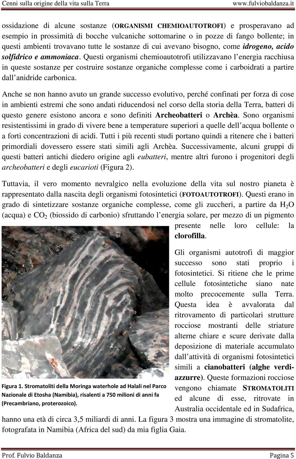 Questi organismi chemioautotrofi utilizzavano l energia racchiusa in queste sostanze per costruire sostanze organiche complesse come i carboidrati a partire dall anidride carbonica.