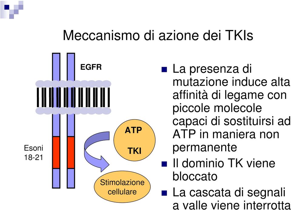 piccole molecole capaci di sostituirsi ad ATP in maniera non permanente