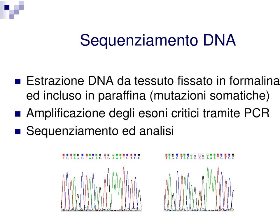 (mutazioni somatiche) Amplificazione degli