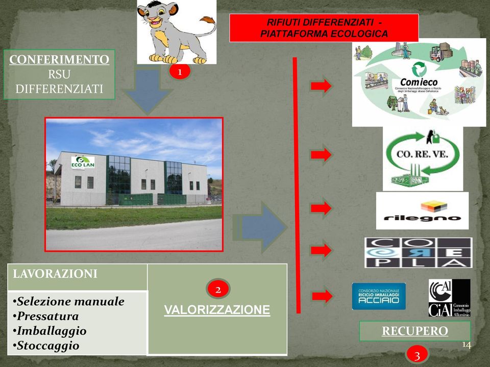 LAVORAZIONI Selezione manuale Pressatura