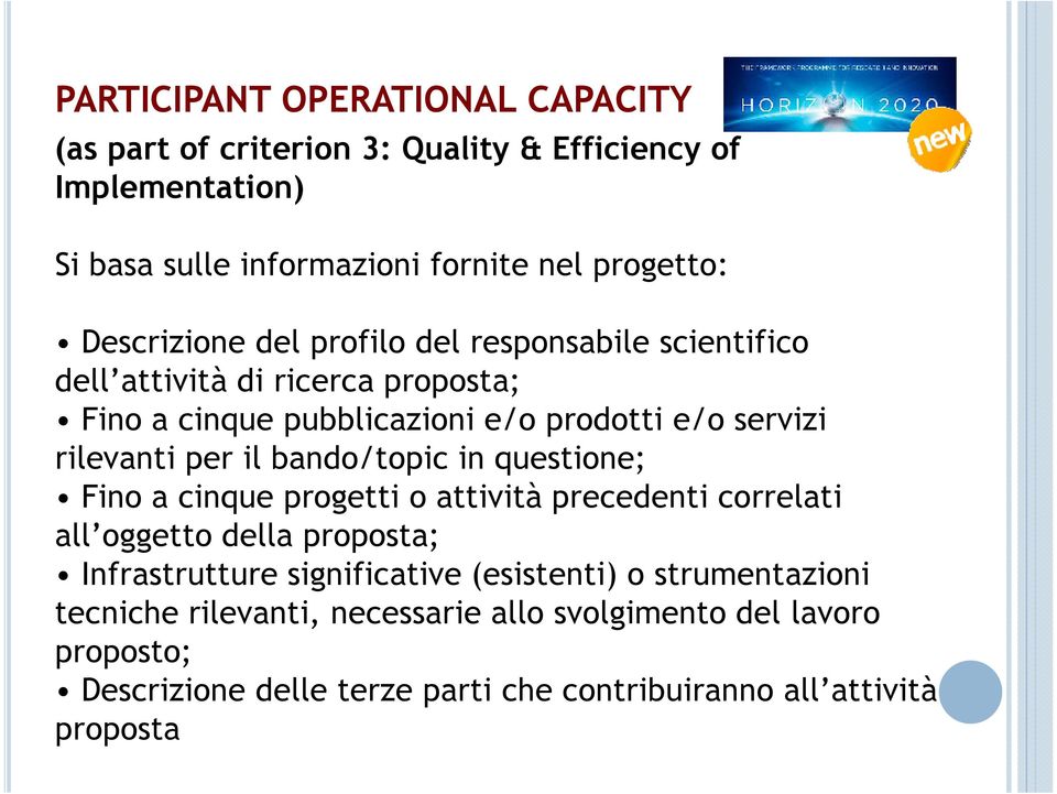 per il bando/topic in questione; Fino a cinque progetti o attività precedenti correlati all oggetto della proposta; Infrastrutture significative