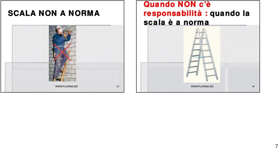 la scala è a norma WWW.