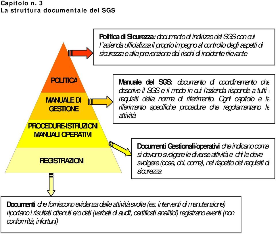 dei rischi di incidente rilevante POLITICA MANUALE DI GESTIONE PROCEDURE-ISTRUZIONI MANUALI OPERATIVI REGISTRAZIONI Manuale del SGS: documento di coordinamento che descrive il SGS e il modo in cui l