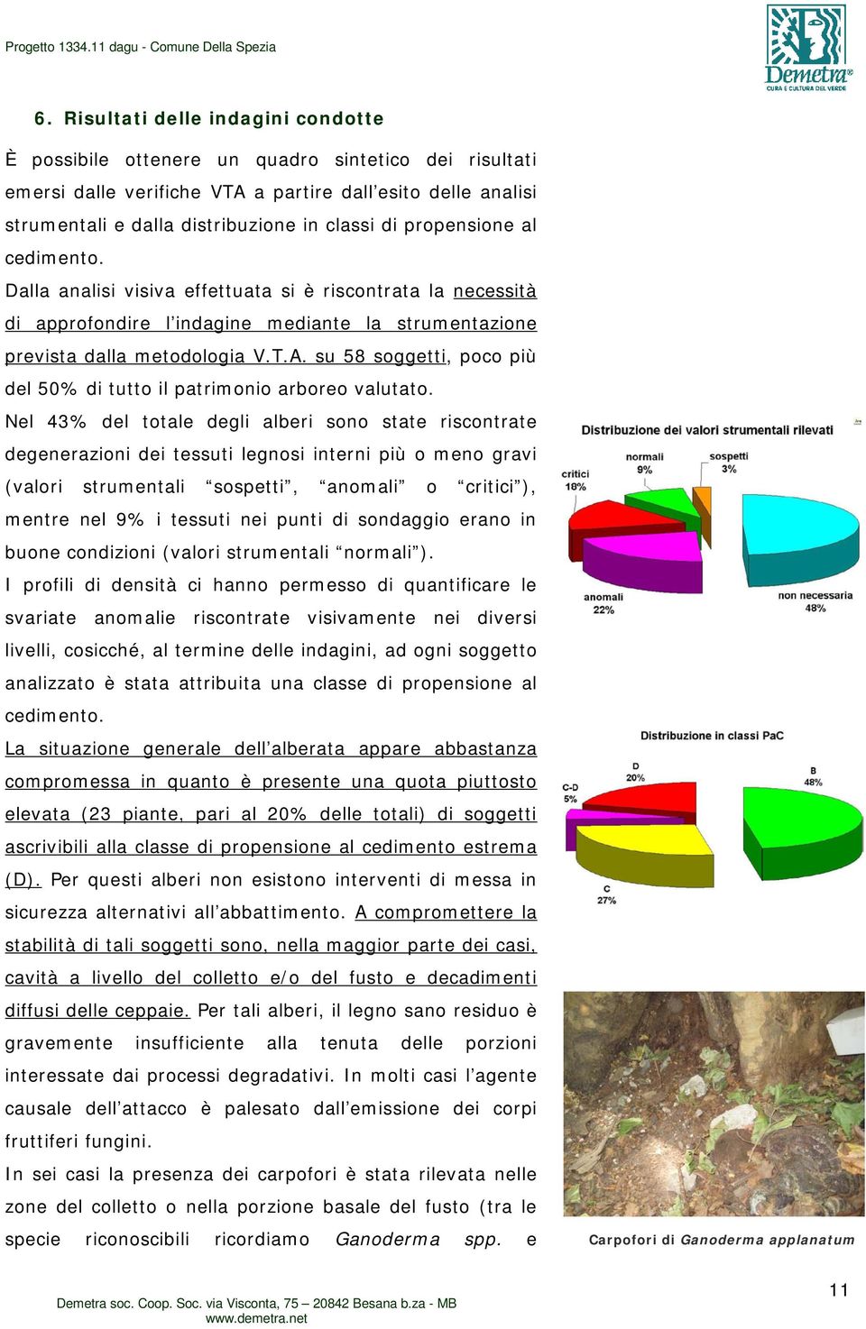 propensione al cedimento. Dalla analisi visiva effettuata si è riscontrata la necessità di approfondire l indagine mediante la strumentazione prevista dalla metodologia V.T.A.