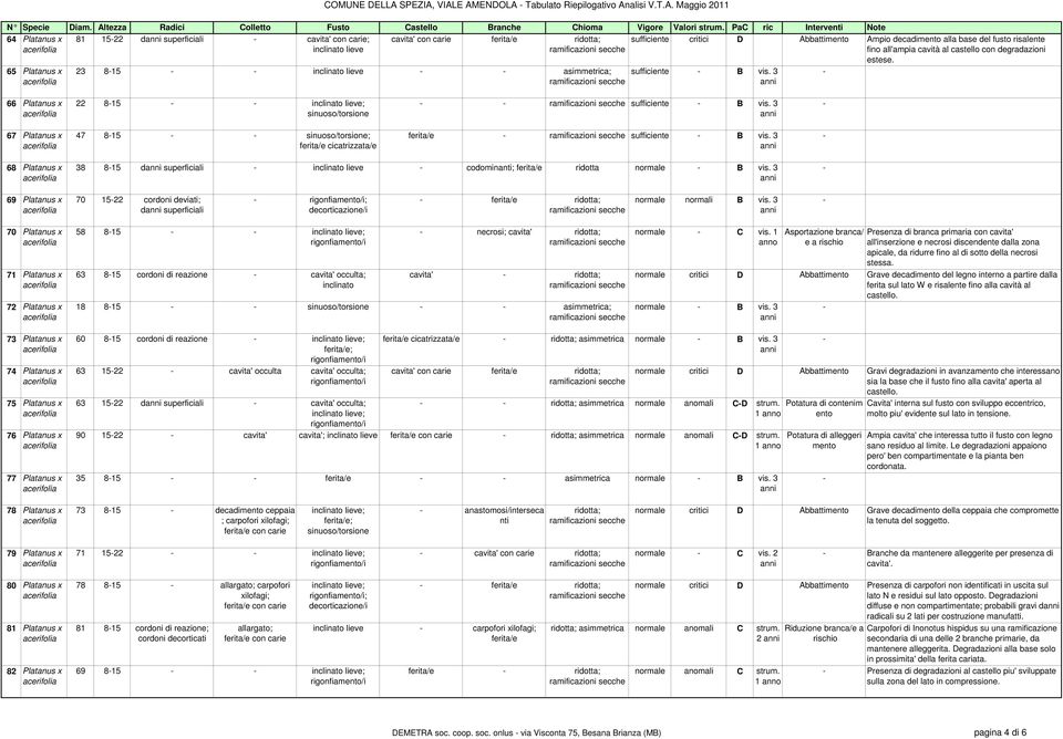 asimmetrica; ramificazioni secche sufficiente critici D Abbattimento Ampio decadimento alla base del fusto risalente fino all'ampia cavità al castello con degradazioni estese. sufficiente - B vis.