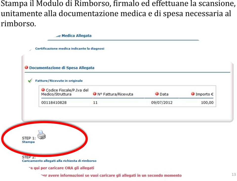 unitamente alla documentazione