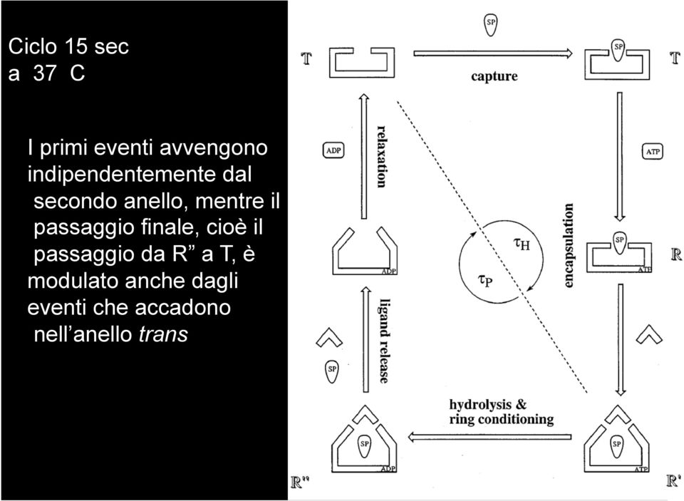 passaggio finale, cioè il passaggio da R a T, è