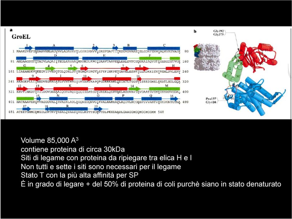 necessari per il legame Stato T con la più alta affinità per SP È in