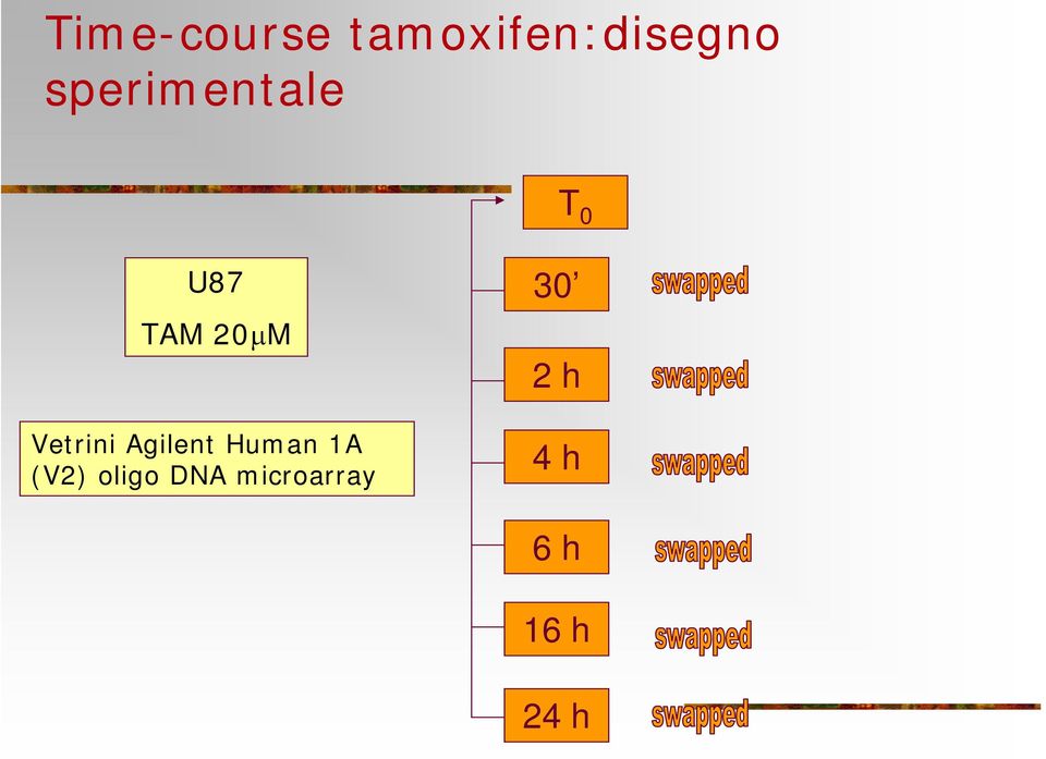 Vetrini Agilent Human 1A (V2)