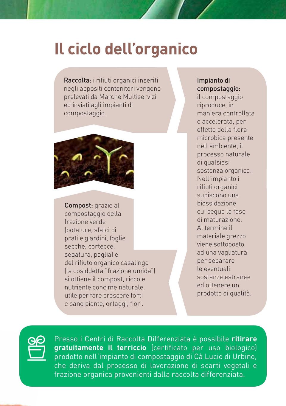 si ottiene il compost, ricco e nutriente concime naturale, utile per fare crescere forti e sane piante, ortaggi, fiori.