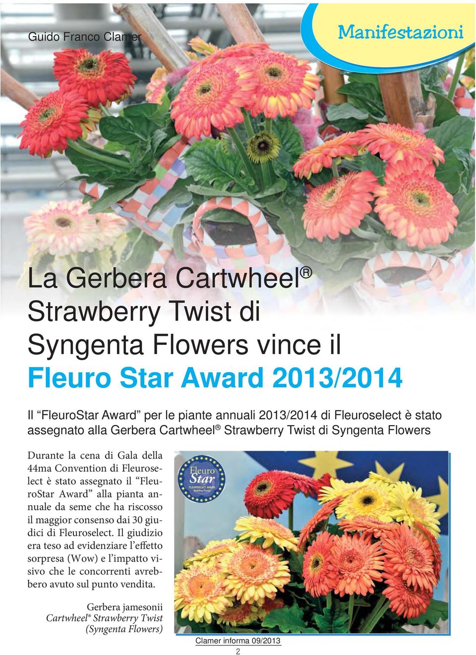 Fleuroselect è stato assegnato il FleuroStar Award alla pianta annuale da seme che ha riscosso il maggior consenso dai 30 giudici di Fleuroselect.