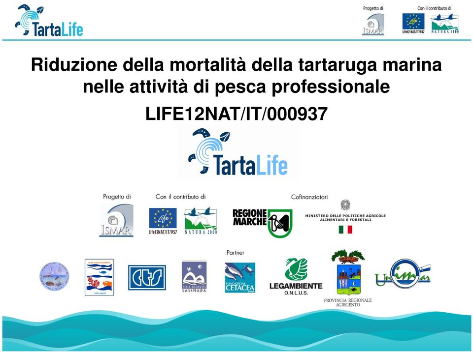 nelle attività di pesca