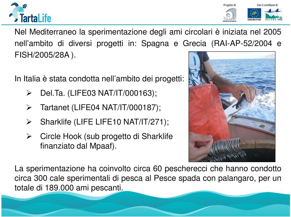 (LIFE03 NAT/IT/000163); Tartanet (LIFE04 NAT/IT/000187); Sharklife (LIFE LIFE10 NAT/IT/271); Circle Hook (sub progetto di Sharklife