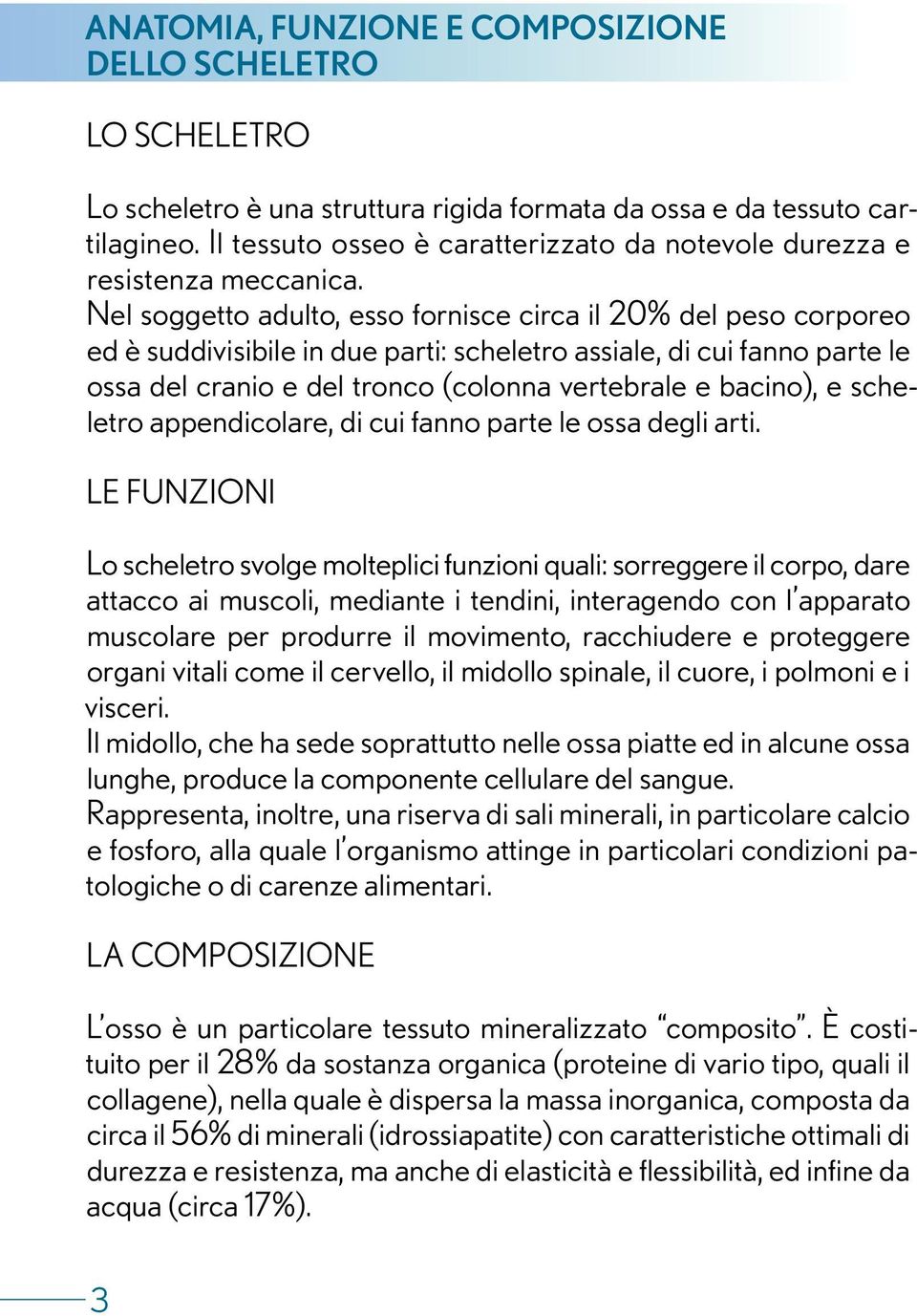 Nel soggetto adulto, esso fornisce circa il 20% del peso corporeo ed è suddivisibile in due parti: scheletro assiale, di cui fanno parte le ossa del cranio e del tronco (colonna vertebrale e bacino),