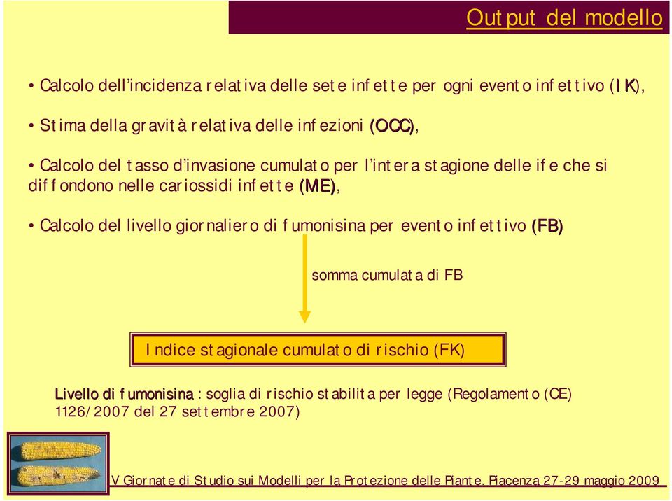 infette (ME), Calcolo del livello giornaliero di fumonisina per evento infettivo (FB) somma cumulata di FB Indice stagionale