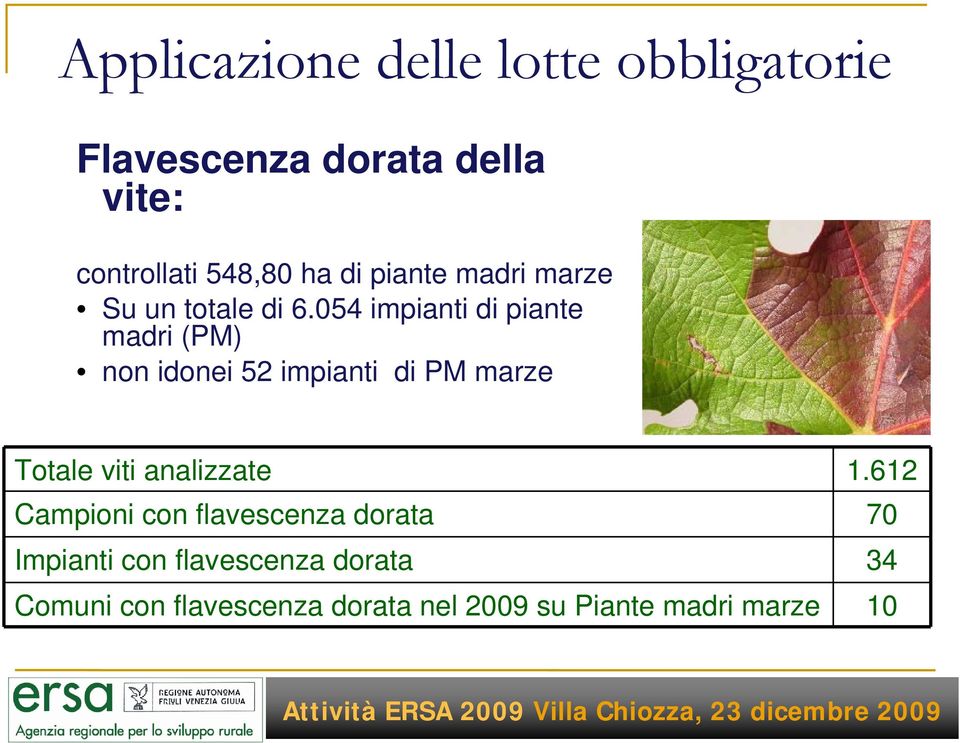 054 impianti di piante madri (PM) non idonei 52 impianti di PM marze Totale viti