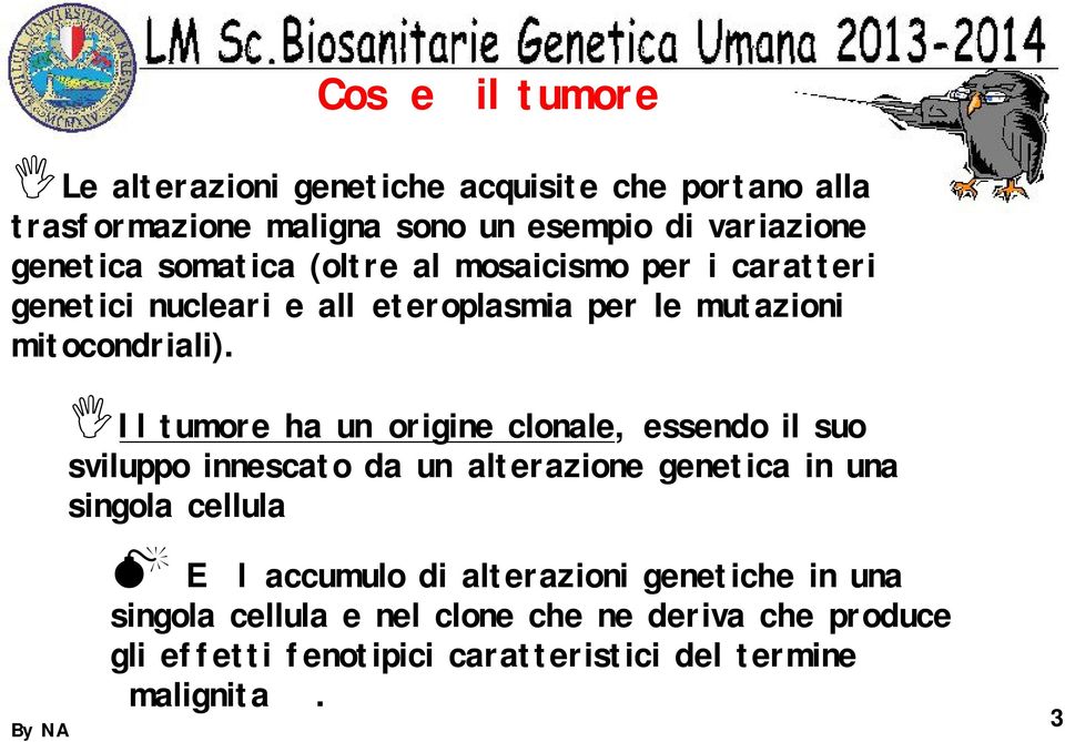 I Il tumore ha un origine clonale, essendo il suo sviluppo innescato da un alterazione genetica in una singola cellula M E l