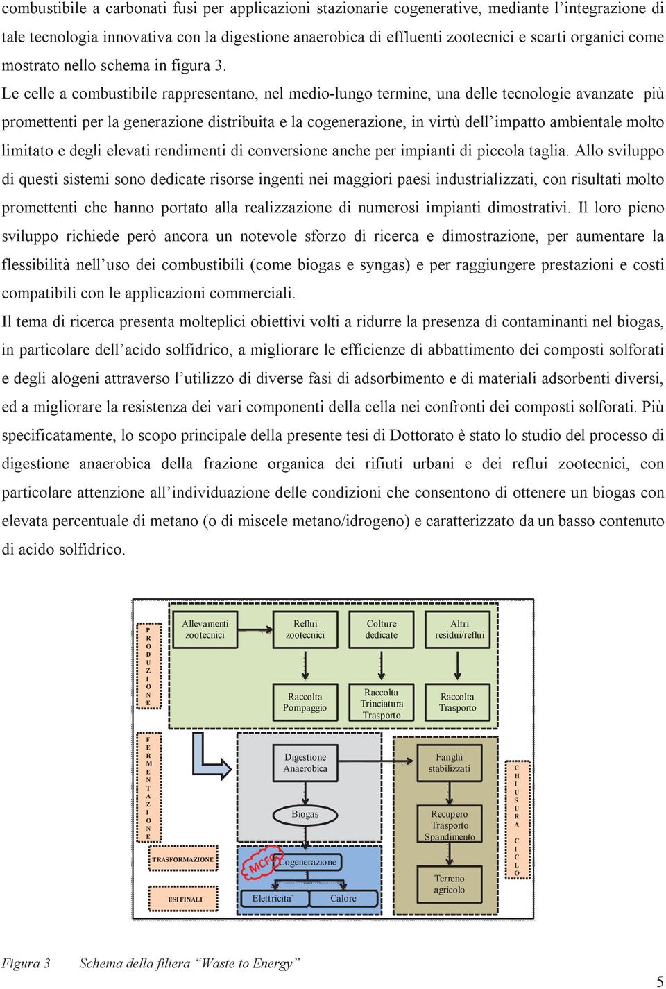 Le celle a combustibile rappresentano, nel medio-lungo termine, una delle tecnologie avanzate più promettenti per la generazione distribuita e la cogenerazione, in virtù dell impatto ambientale molto