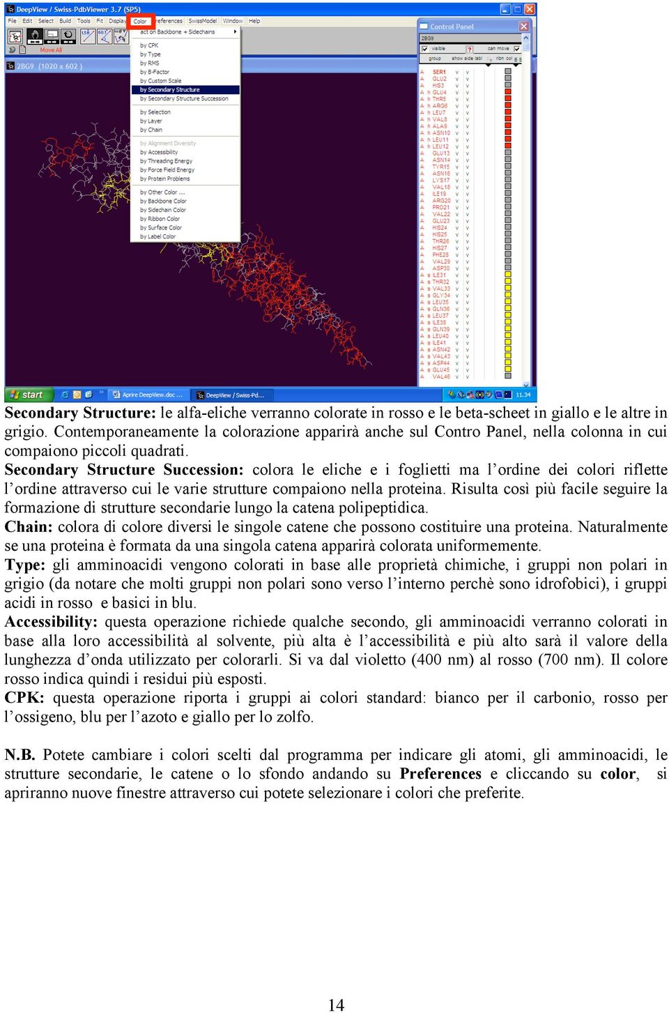 Secondary Structure Succession: colora le eliche e i foglietti ma l ordine dei colori riflette l ordine attraverso cui le varie strutture compaiono nella proteina.