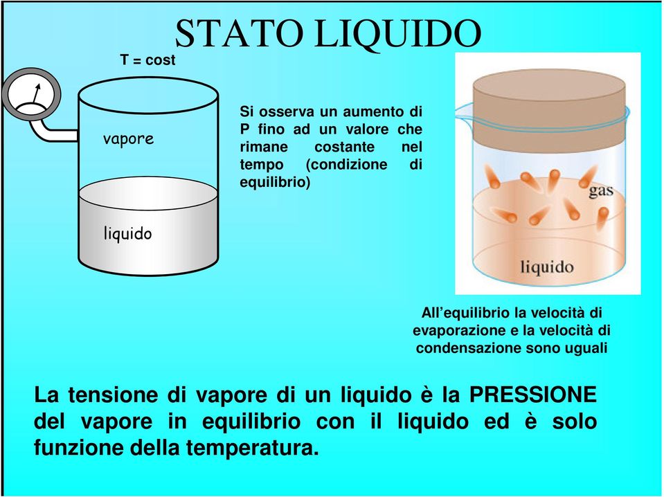 evaporazione e la velocità di condensazione sono uguali La tensione di vapore di un