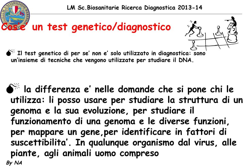 M la differenza e nelle domande che si pone chi le utilizza: li posso usare per studiare la struttura di un genoma e la sua