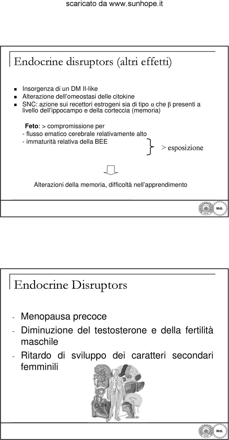 cerebrale relativamente alto - immaturità relativa della BEE > esposizione Alterazioni della memoria, difficoltà nell apprendimento MdL