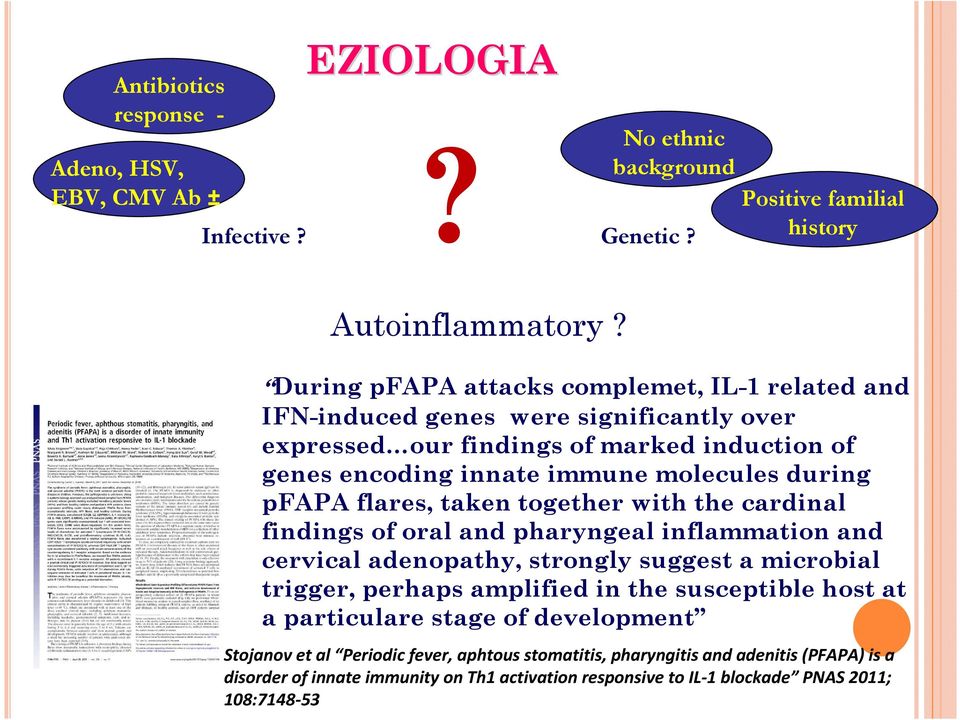 pfapa flares, taken together with the cardinal findings of oral and pharyngeal inflammation and cervical adenopathy, strongly suggest a microbial trigger, perhaps amplified in the