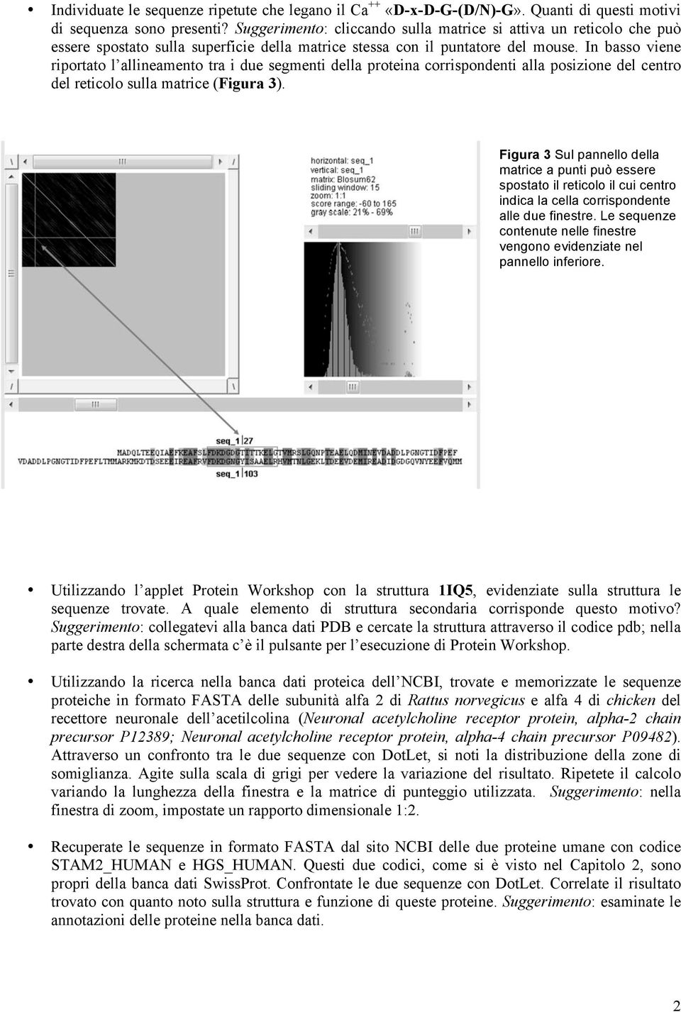 In basso viene riportato l allineamento tra i due segmenti della proteina corrispondenti alla posizione del centro del reticolo sulla matrice (Figura 3).